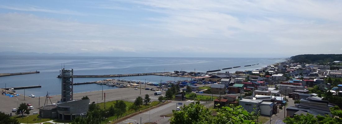 観覧山から蟹田地区風景